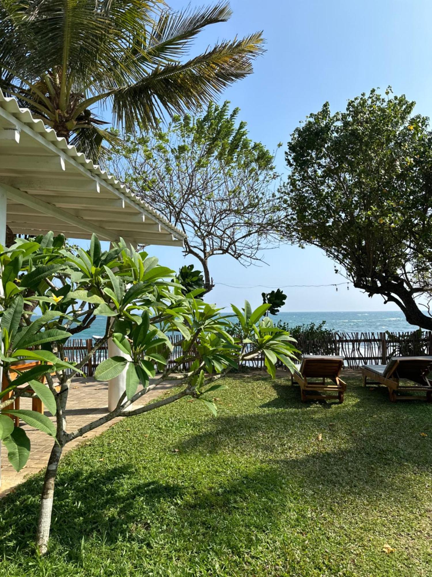 Reef Serenity 3*