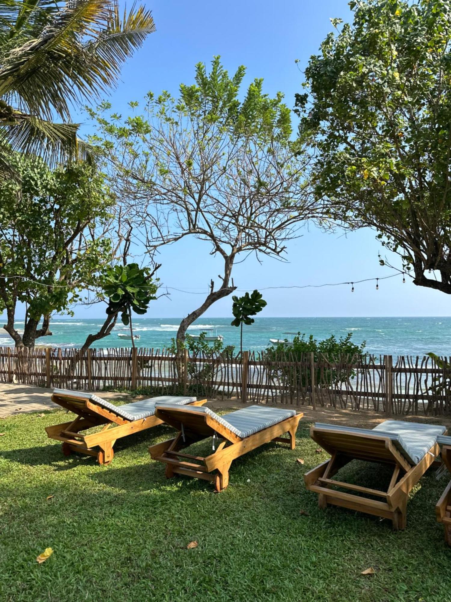 Reef Serenity 3*